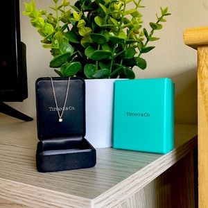 Tiffany & Co. Diamond Necklace